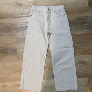 American Eagle Stovepipe Pants